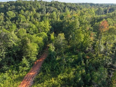 Lake Lot For Sale in Donalds, South Carolina