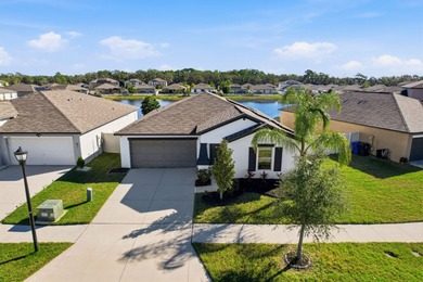 (private lake, pond, coastal) Home For Sale in Sun City Center Florida