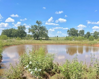 This is a rare opportunity to own approximately 162 acres with - photo 12