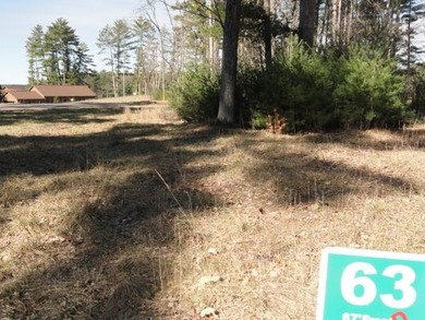 Lot 16, a buildable wooded lot on Nepco Lake, Central Wis. Build - photo 19