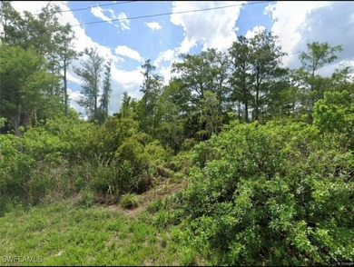 Lehigh Acres Area Lot For Sale in Lehigh Acres Florida