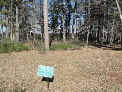 Lot 16, a buildable wooded lot on Nepco Lake, Central Wis. Build - photo 22