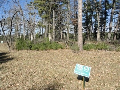 Lot 16, a buildable wooded lot on Nepco Lake, Central Wis. Build - photo 23