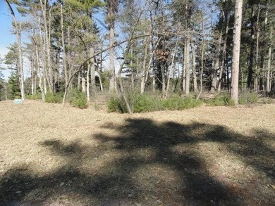 Lot 16, a buildable wooded lot on Nepco Lake, Central Wis. Build - photo 24
