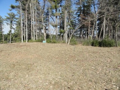 Lot 16, a buildable wooded lot on Nepco Lake, Central Wis. Build - photo 25