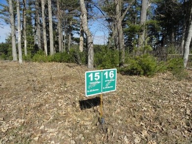 Lot 16, a buildable wooded lot on Nepco Lake, Central Wis. Build - photo 27