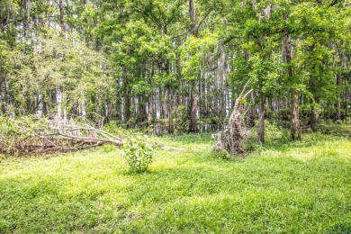 Nestled in the picturesque Big Lake area of Caddo Lake - photo 29