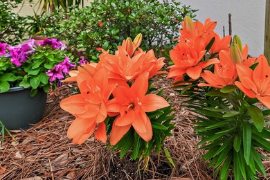 Welcome to 8004 Legend Creek, located within the Sandestin Golf - photo 30