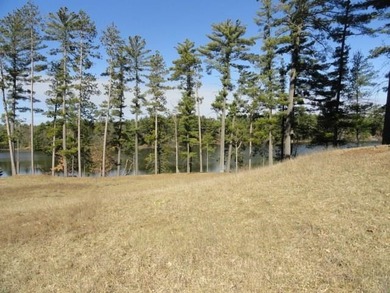 Lot 16, a buildable wooded lot on Nepco Lake, Central Wis. Build - photo 31