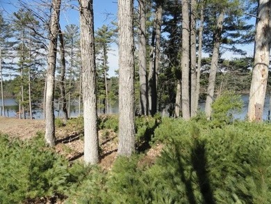Lot 16, a buildable wooded lot on Nepco Lake, Central Wis. Build - photo 33