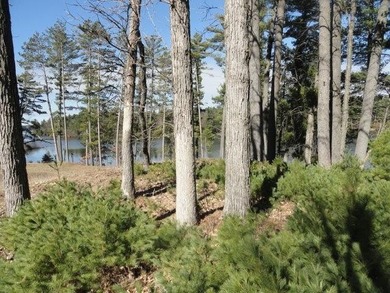 Lot 16, a buildable wooded lot on Nepco Lake, Central Wis. Build - photo 34
