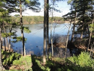 Lot 16, a buildable wooded lot on Nepco Lake, Central Wis. Build - photo 35