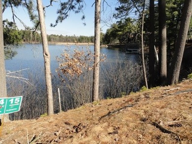 Lot 16, a buildable wooded lot on Nepco Lake, Central Wis. Build - photo 39