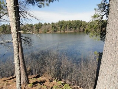 Lot 16, a buildable wooded lot on Nepco Lake, Central Wis. Build - photo 40