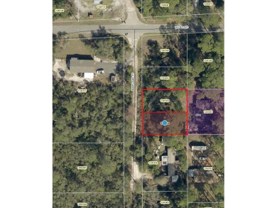 Lake Lot For Sale in Paisley, Florida