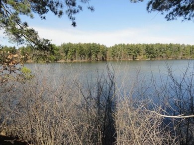 Lot 16, a buildable wooded lot on Nepco Lake, Central Wis. Build - photo 41