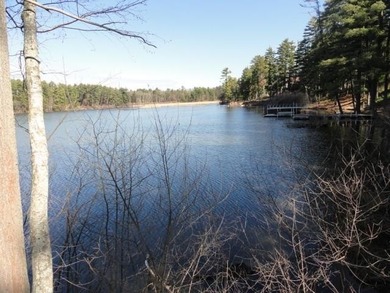 Lot 16, a buildable wooded lot on Nepco Lake, Central Wis. Build - photo 42
