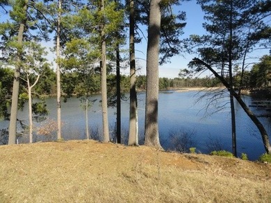 Lot 16, a buildable wooded lot on Nepco Lake, Central Wis. Build - photo 48