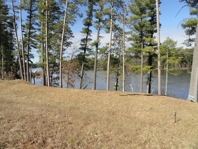 Lot 16, a buildable wooded lot on Nepco Lake, Central Wis. Build - photo 50