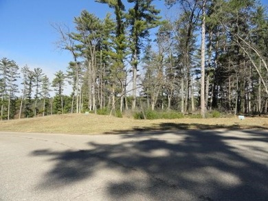 Lot 16, a buildable wooded lot on Nepco Lake, Central Wis. Build - photo 51