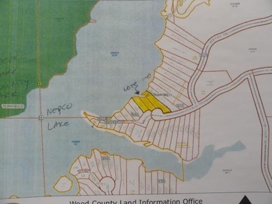 Lot 16, a buildable wooded lot on Nepco Lake, Central Wis. Build - photo 55