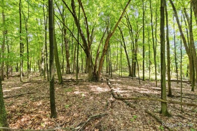 Lake Acreage For Sale in Rockford, Michigan