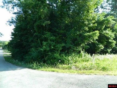 Four wooded lots on the corner of Walnut and Honeysuckle in Bull - photo 2