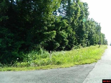 Four wooded lots on the corner of Walnut and Honeysuckle in Bull - photo 3