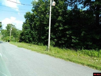 Four wooded lots on the corner of Walnut and Honeysuckle in Bull - photo 4