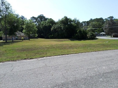 Fantastic opportunity to create your ideal residence on this - photo 4