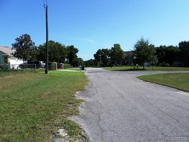 Fantastic opportunity to create your ideal residence on this - photo 6
