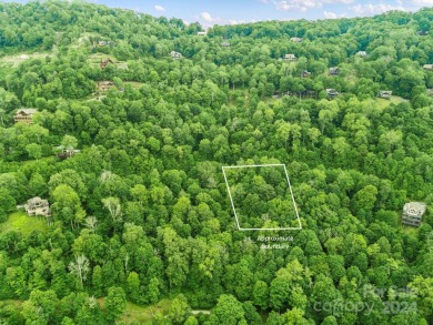 Mars Hill Reservoir Lot For Sale in Mars Hill North Carolina