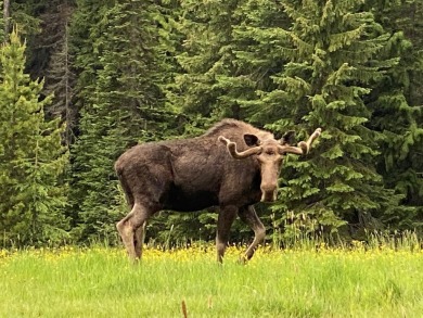 Lake Home For Sale in Haugan, Montana