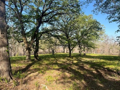 (private lake, pond, creek) Acreage For Sale in Bonham Texas