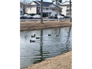 Rare Gem!!!!!!Short and Long-term rent, and RB&B at The Fairway - photo 29