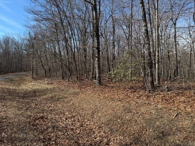 This is approx. 1 acre property located on Crystal Pt cut-de-sac - photo 2