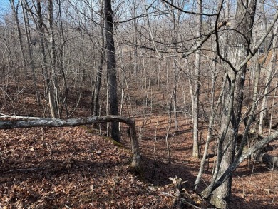 This is approx. 1 acre property located on Crystal Pt cut-de-sac - photo 3