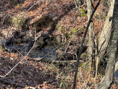 This is approx. 1 acre property located on Crystal Pt cut-de-sac - photo 4