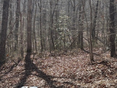This is approx. 1 acre property located on Crystal Pt cut-de-sac - photo 5