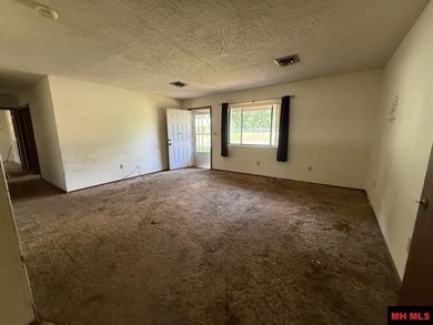 Opportunity awaits in Bull Shoals with this 3 bedroom, 2 bath - photo 3