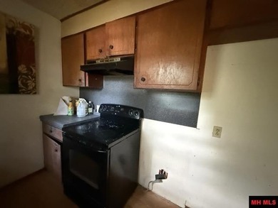 Opportunity awaits in Bull Shoals with this 3 bedroom, 2 bath - photo 5