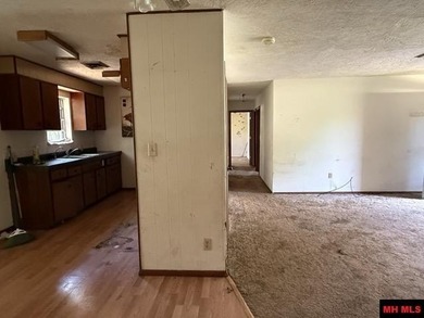 Opportunity awaits in Bull Shoals with this 3 bedroom, 2 bath - photo 6