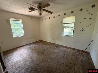 Opportunity awaits in Bull Shoals with this 3 bedroom, 2 bath - photo 10
