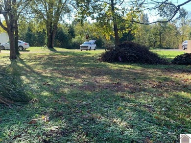 Kentucky Lake Lot For Sale in Gilbertsville Kentucky