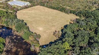 19.36 Acres in Milton. Zoned AG-RR. 0.5 miles from I-10 w/ 430ft - photo 11