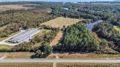 19.36 Acres in Milton. Zoned AG-RR. 0.5 miles from I-10 w/ 430ft - photo 12