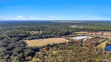 19.36 Acres in Milton. Zoned AG-RR. 0.5 miles from I-10 w/ 430ft - photo 13