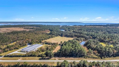 19.36 Acres in Milton. Zoned AG-RR. 0.5 miles from I-10 w/ 430ft - photo 14