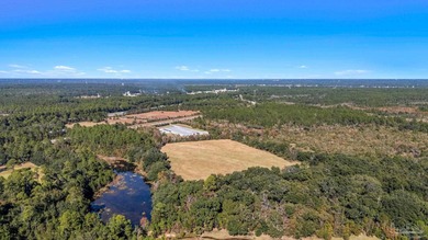 19.36 Acres in Milton. Zoned AG-RR. 0.5 miles from I-10 w/ 430ft - photo 16