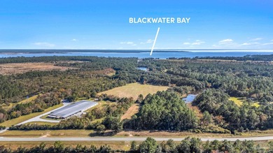 19.36 Acres in Milton. Zoned AG-RR. 0.5 miles from I-10 w/ 430ft - photo 17